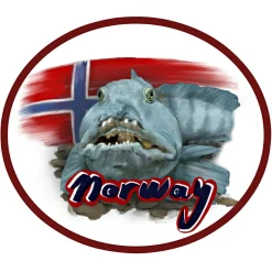 Hot Aufnäher "Norway"