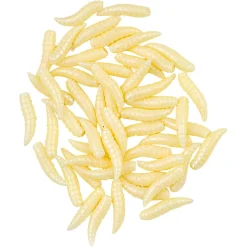 Best Behr Raubfischfutter Maggots (Natur)