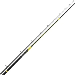 Black Cat Wallerruten|Zielfischruten<Angelrute Perfect Passion XH-S 300 cm -600 g