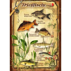 New Blechschild (Friedfische)
