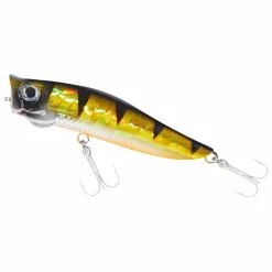 Hot Colonel Popper Popstar FL (perch)