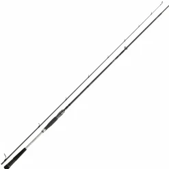 Online Daiwa Meerforellenrute Morethan AGS Seatrout
