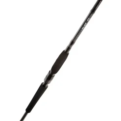 Daiwa Spinnruten<Meerforellenruten Pro Staff LD Sea Trout Spin 305 cm 14,0-42,0 g