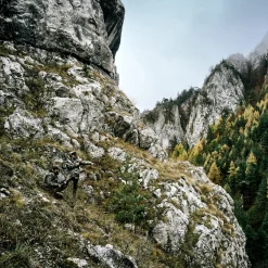 Deerhunter Outdoor- & Angel-Jacken<Pro Gamekeeper Jacke - Kurz (Realtree Timber)