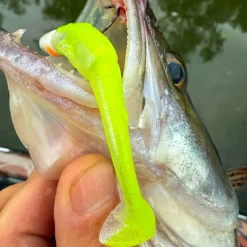 Fox Rage Gummiköder ·Gummifische & Shads<Scent Shad (Chartreuse Ayu)