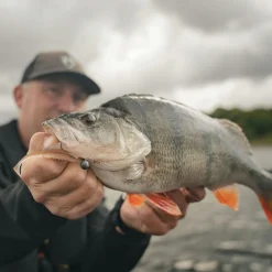 Fox Rage Gummiköder ·Gummifische & Shads<Scent Shad (Natural Wakasagi)