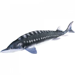 Gaby Geschenkideen Für Angler<Kuschelfisch Stör