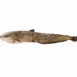 Gaby Geschenkideen Für Angler<Stofftier Wels