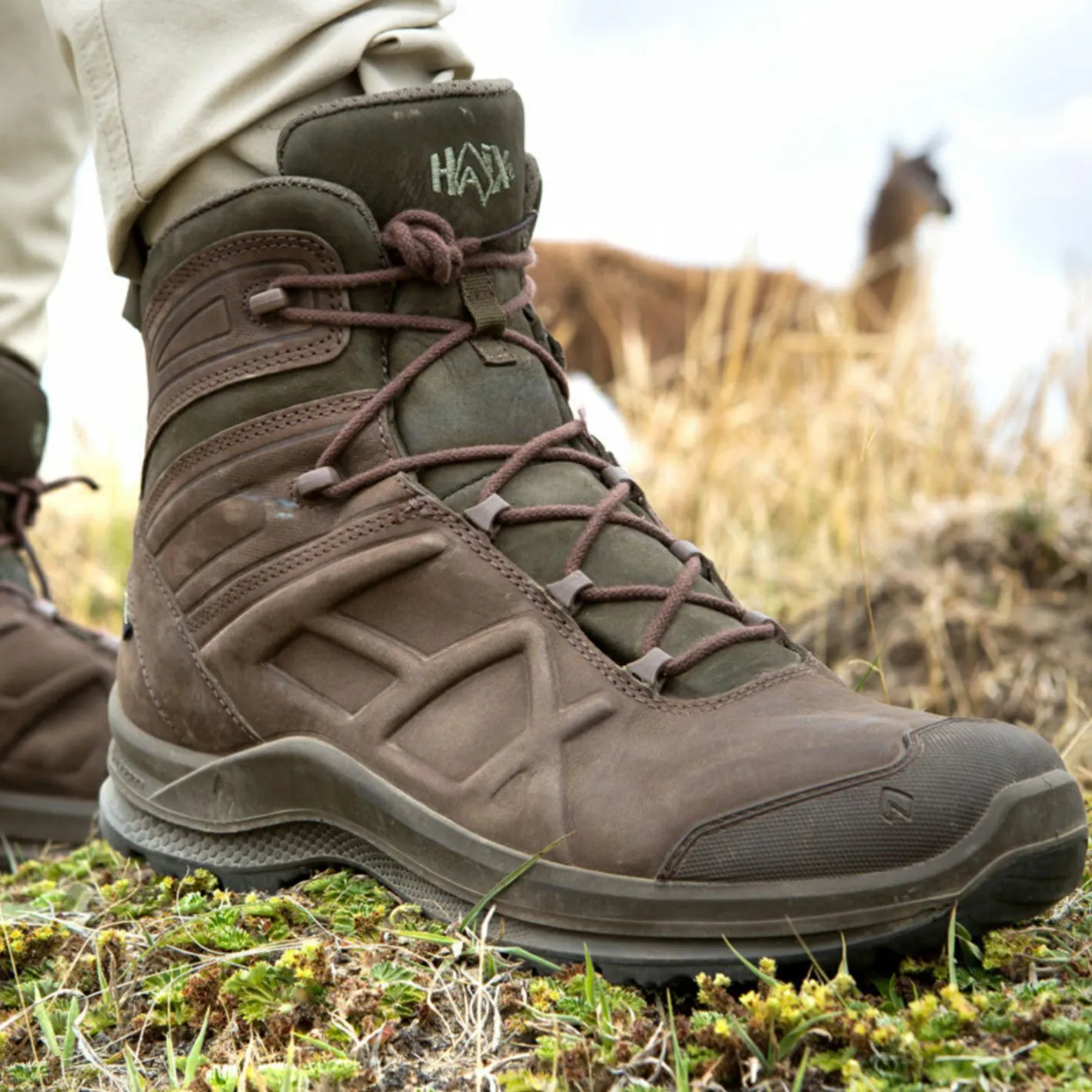 Haix Angelstiefel & Outdoor Boots<Black Eagle Nature GTX Mid Herren (Brown/Green)