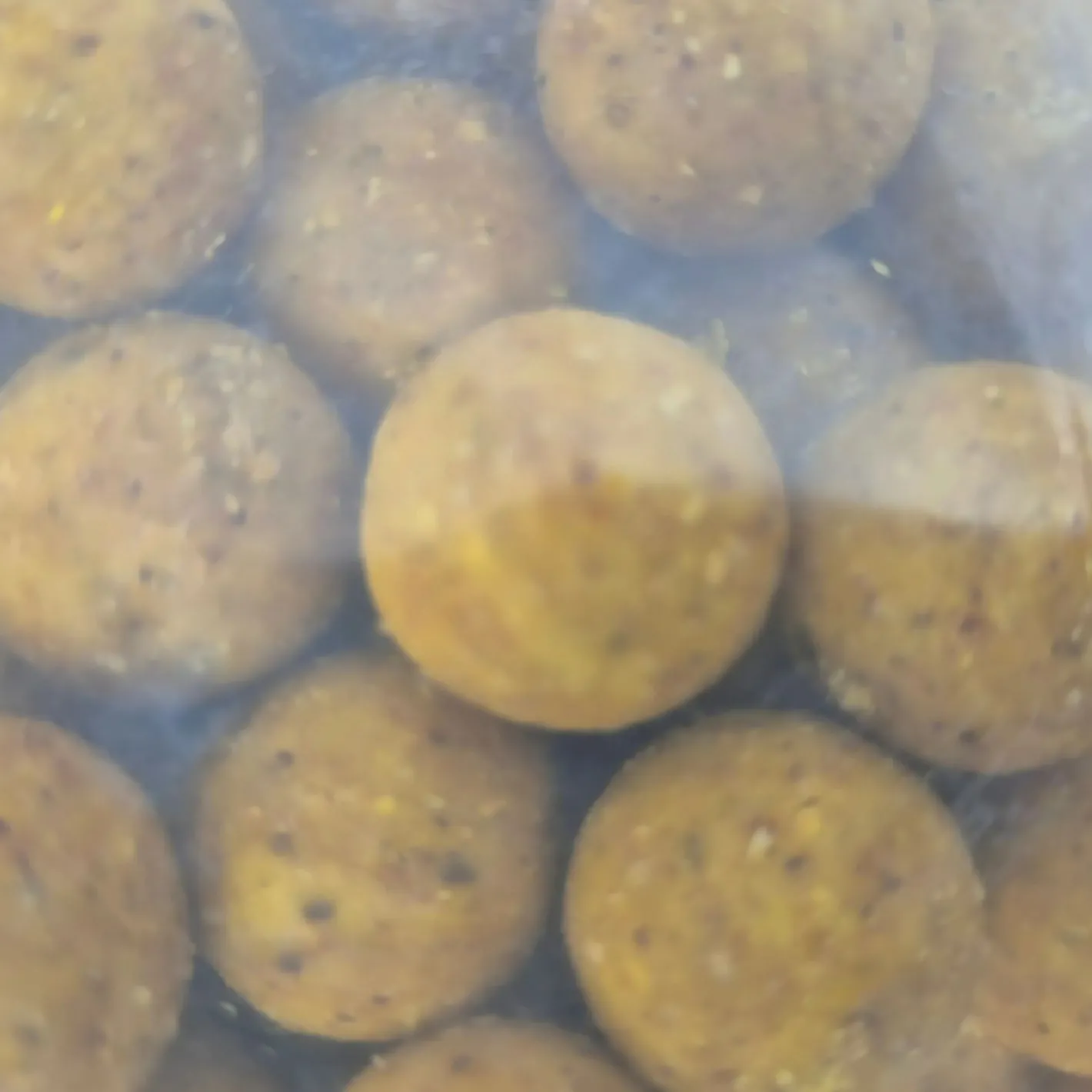 Kogha Karpfenfutter·Boilies & Popup Boilies|Karpfenfutter<Boilies Crazy Action Eco (Mais)