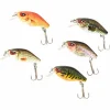 Online Kogha Wobblerset Perch