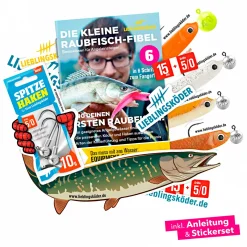 Lieblingsku00f6der Raubfischangeln Kunstköder|Gummiköder ·Gummifische & Shads<Lieblingsköder Gummifisch Hechtköder (15 cm, Ultimate Collection Klares Wasser)