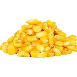 Clearance Maros Mix Friedfischfutter Angelmais
