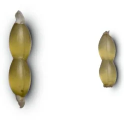 Outlet Nash Hair Stops