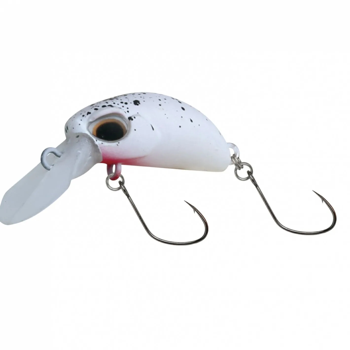 Paladin Wobbler<Mister Bean (sinkend, B)