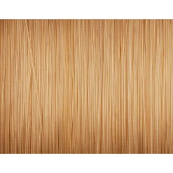 Prologic Karpfenschnüre|Karpfenschnüre<Angelschnur Density Carp Mono (natural brown)