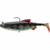 Prorex Gummiköder ·Gummifische & Shads<Lazy Roach RD (Natural Perch)