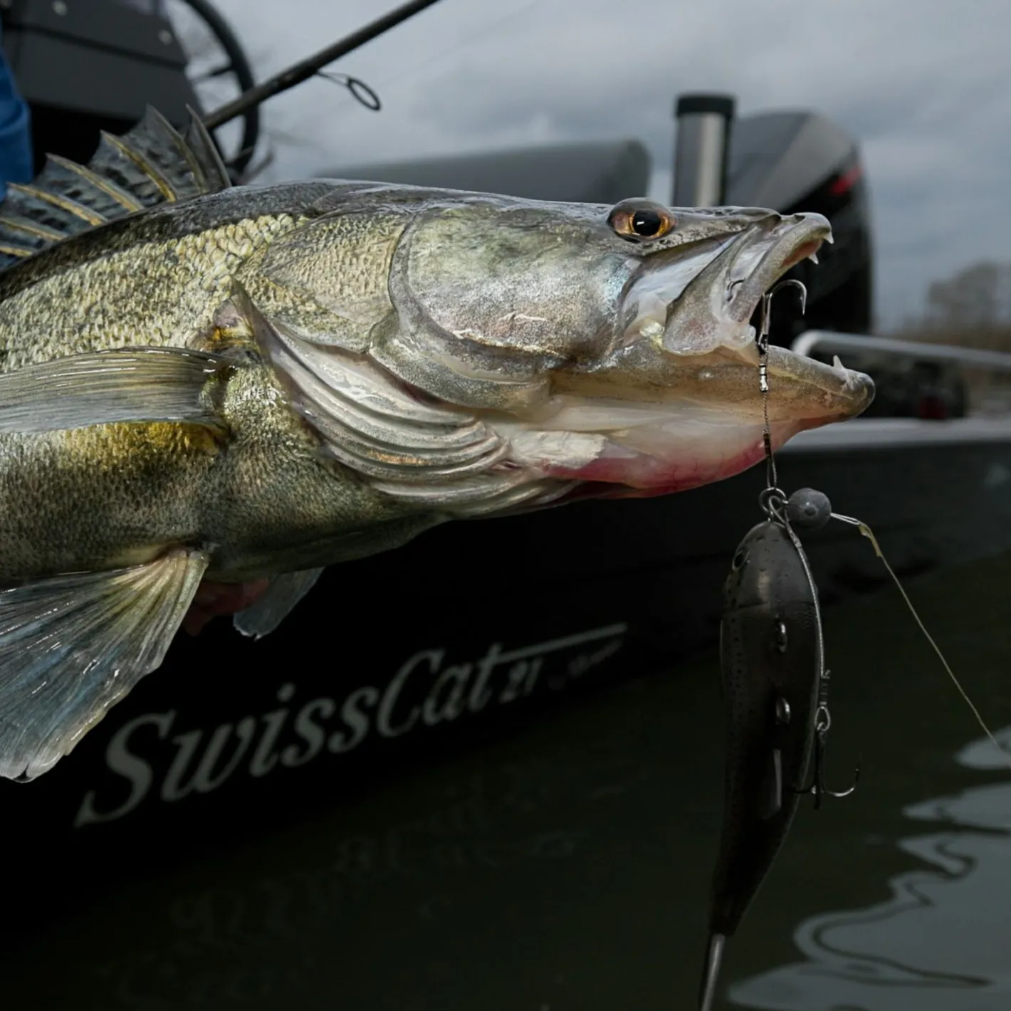 Outlet Pulz Bait Jigging Rigz