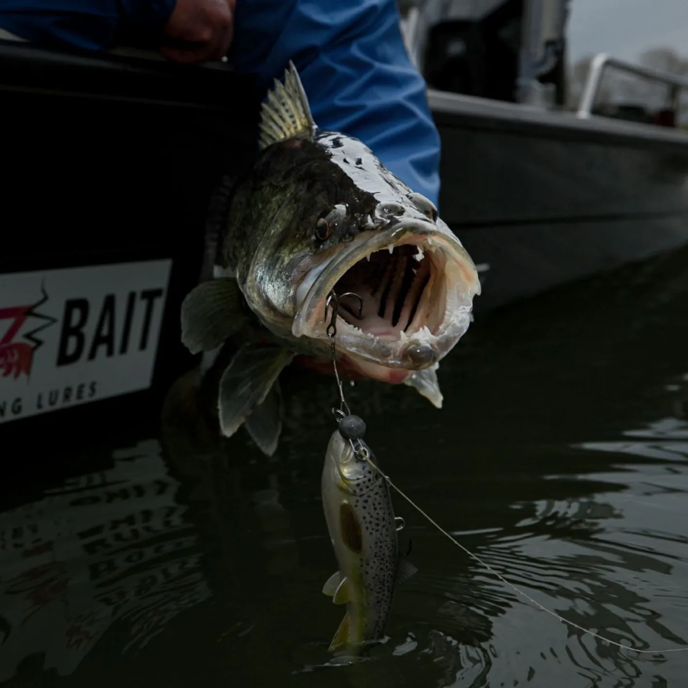 Outlet Pulz Bait Jigging Rigz
