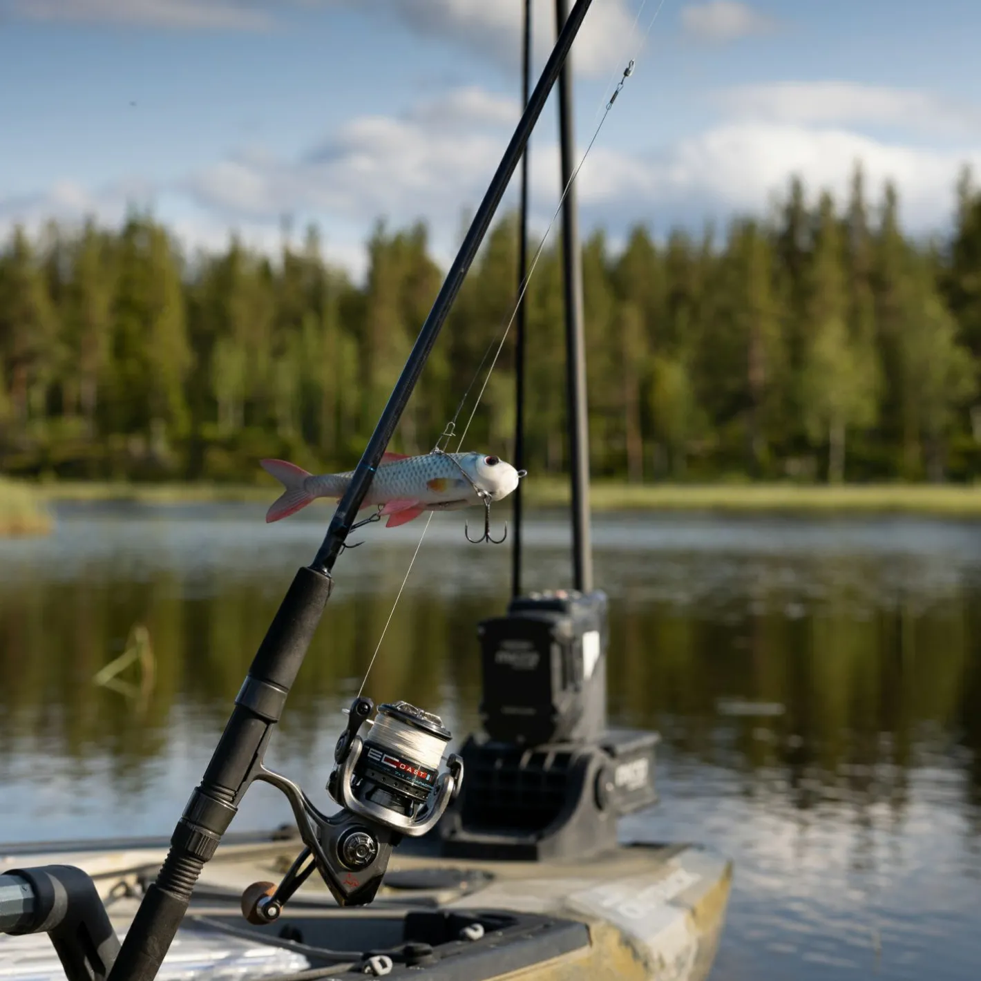 Online Pulz Bait Roach Skinz Set (Natural Roach/Natural Perch/Brown Trout)