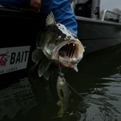 Pulz Bait Gummiköder ·Sonstige Weichplastikköder<Trout Kit (Rainbow Trout)