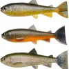 Pulz Bait Gummiköder ·Sonstige Weichplastikköder<Trout Skinz Set (Brown/Rainbow/Char)