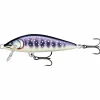 Best Rapala Wobbler CountDown Elite (GDIW)