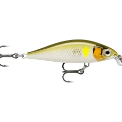 Clearance Rapala X-Light Minnow (AYU)