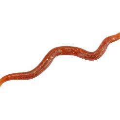 Sale Shirasu Wiggle Worm (Motoroil)