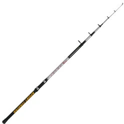 Silverman Posenruten|Zielfischruten<Angelrute Master 6,00 m 10-30 g