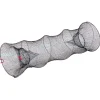 Sale Su00e4nger Sänger Faltbare Kleinfischreuse (90 cm)