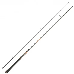 Sportex Raubfischruten|Zielfischruten<Spinnruten Hydra (spirit) Spirit 40 HY2102 210 cm -40 g