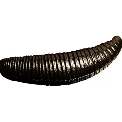 Trout Jara Gummiköder ·Sonstige Weichplastikköder|Forellen-Kunstköder<Weichplastikköder Bruchi (002, Garlic, Bubblegum)