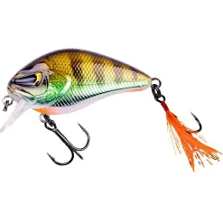Zeck Wobbler<Danny (Glam Perch BA)
