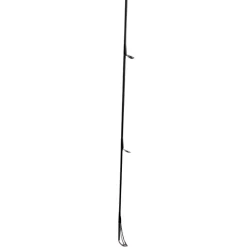 Zeck Baitcastruten<Momentum (Cast) Cast